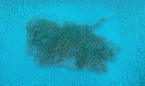 漁網リサイクル事業